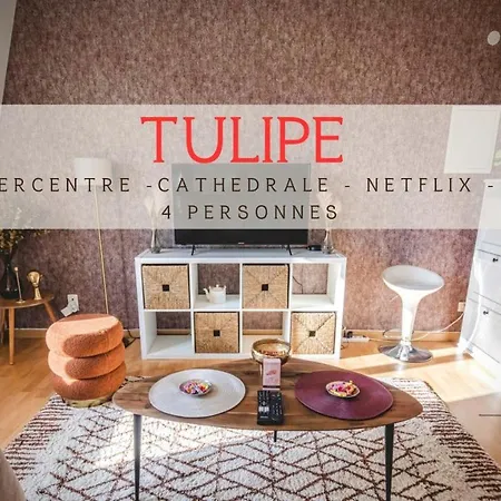 Apartment Au Coeur De - Tulipe